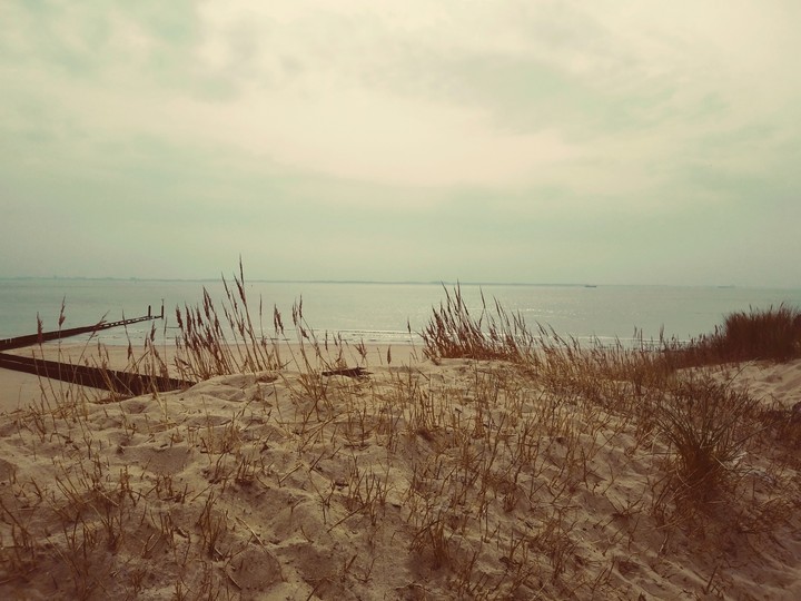 spring in zeeland