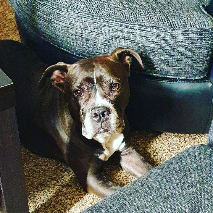 Hades