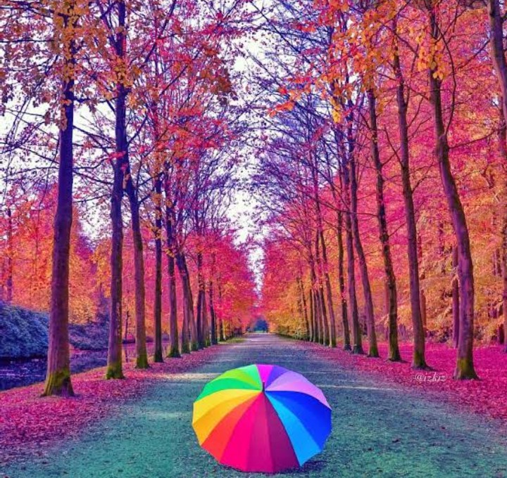 Make your day more colorful｡ (✿ ^ ‿ ^)