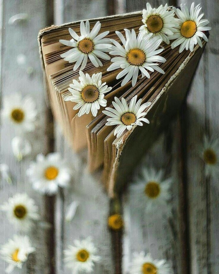 read flowers
