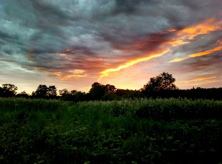 countryside