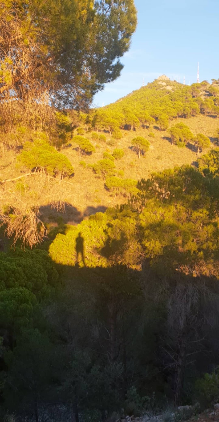 Shadow