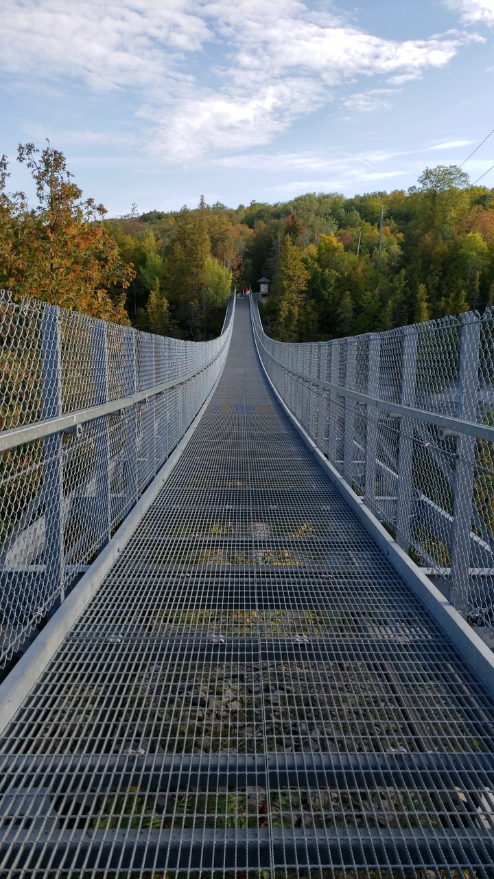 Suspension Bridge