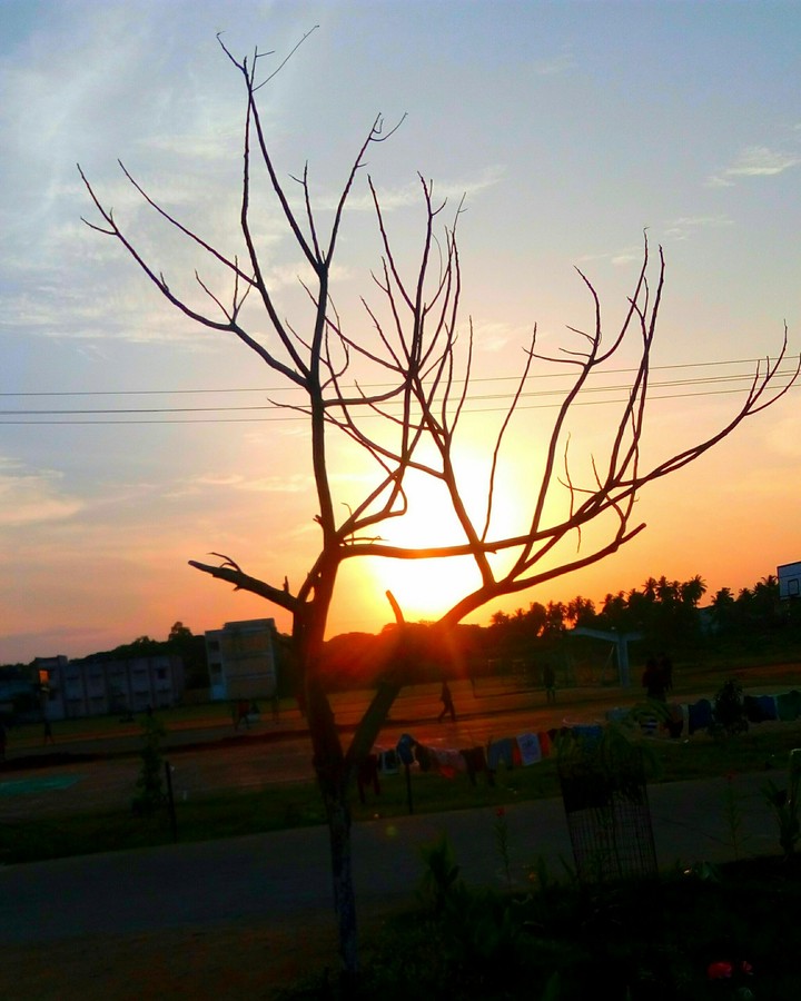 sunset