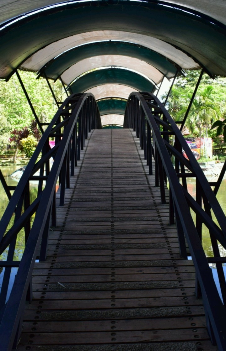 Puente del lago