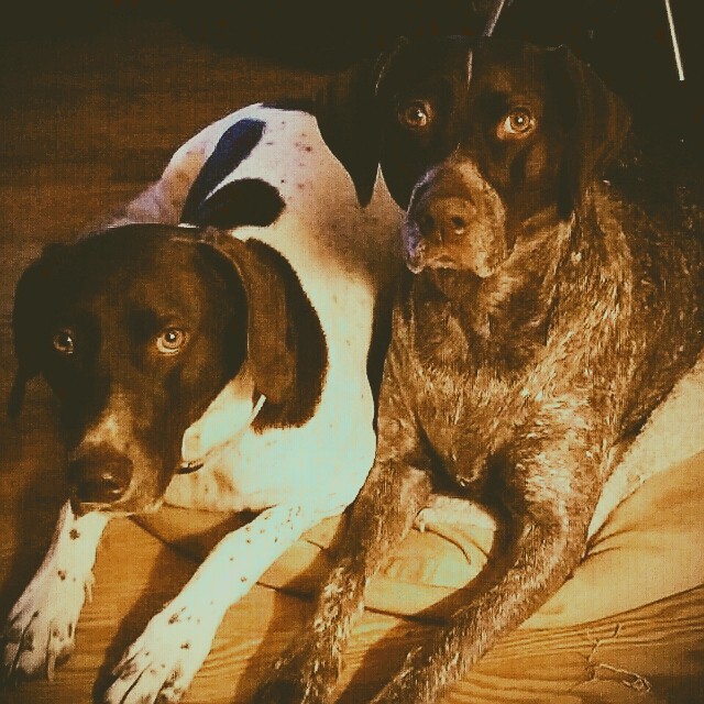 Coco & Grecie