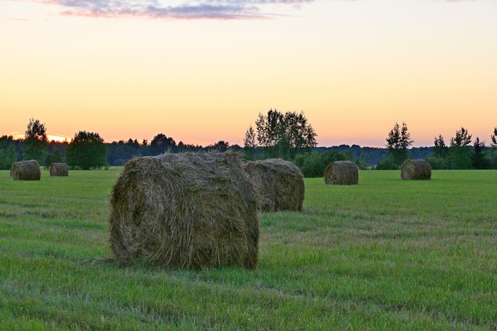 nature