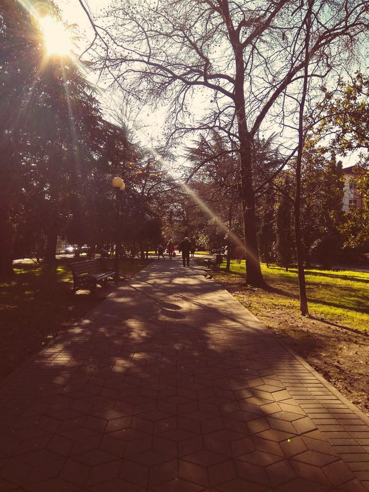 Street