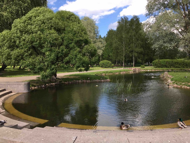 Pond
