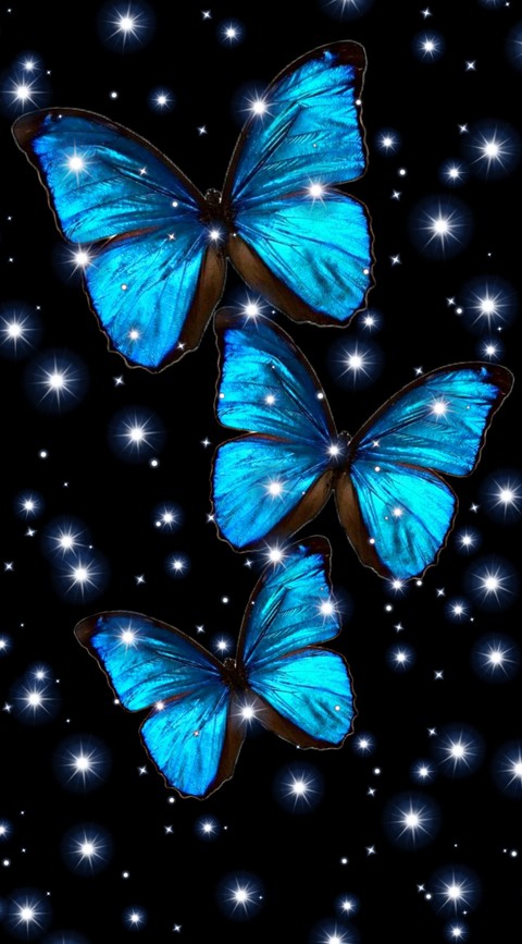 Butterflies
