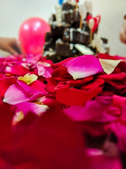 ταπετσαρίες plant, magenta
