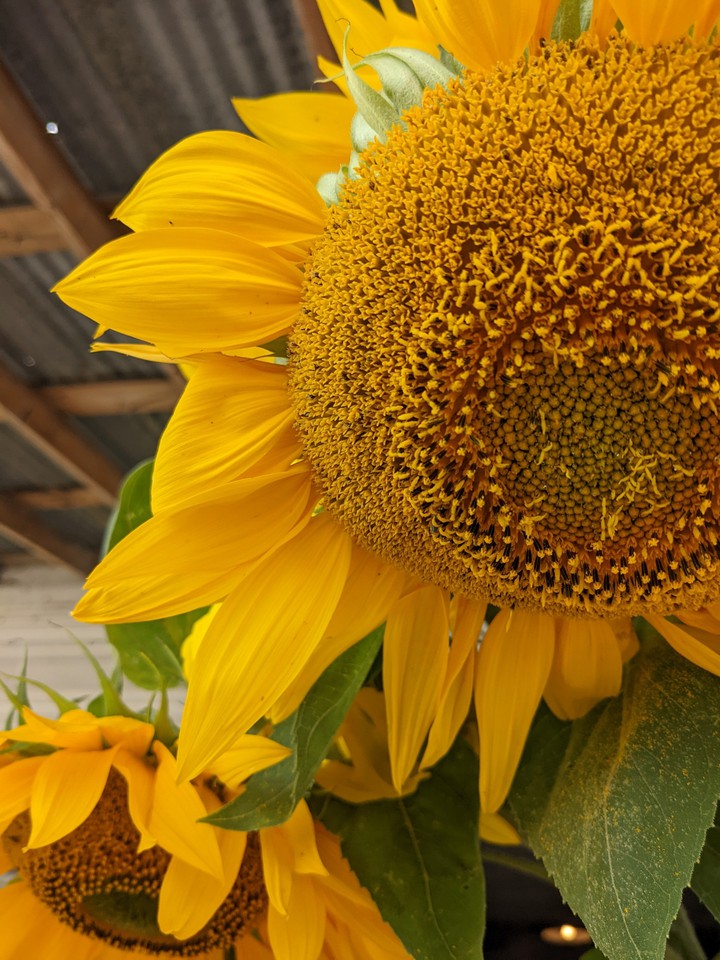 .