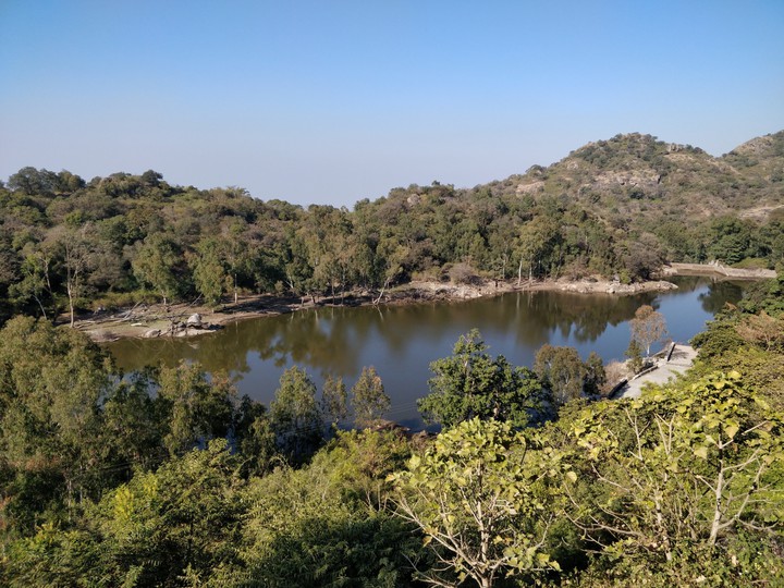 nature