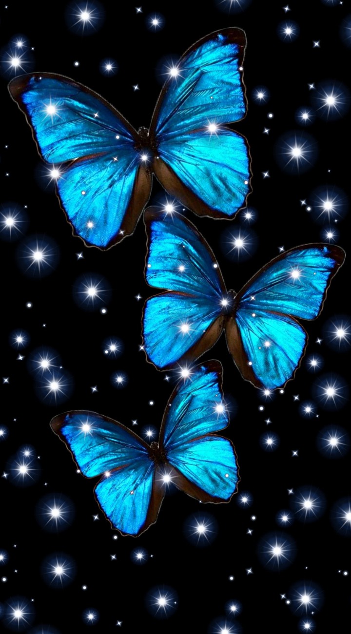Butterflies