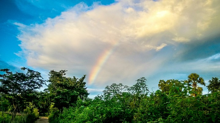 rainbow