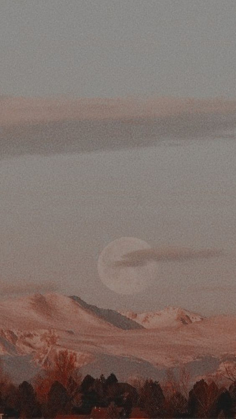 aesthetic