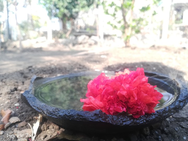 beautiful nature