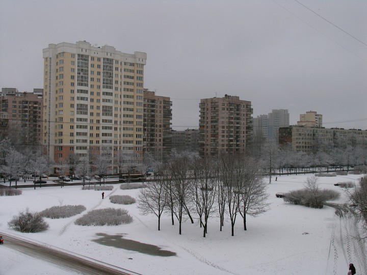 Winter on Vavilovyh st