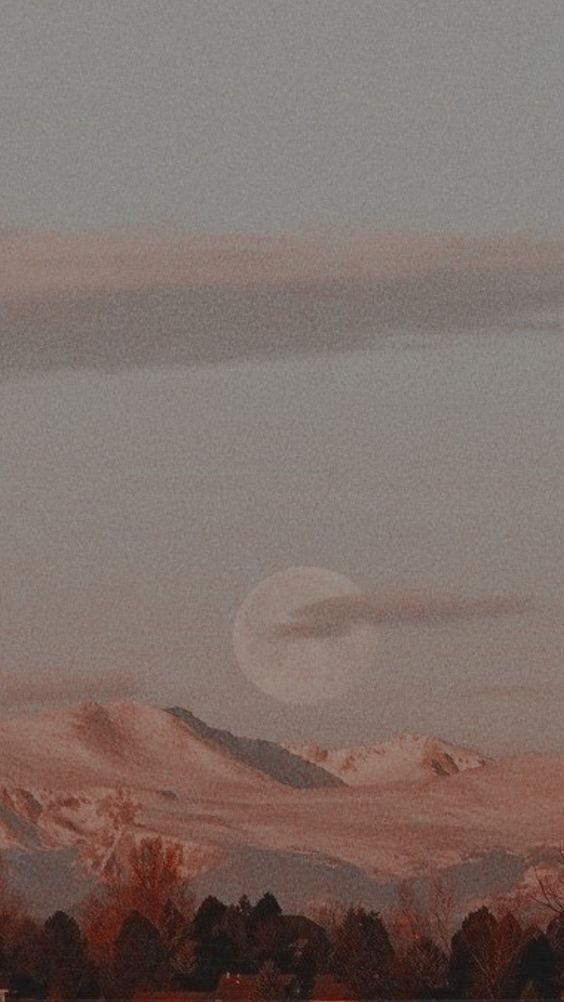 aesthetic