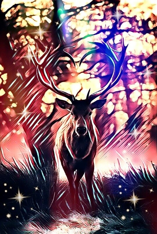 Beautiful nature.