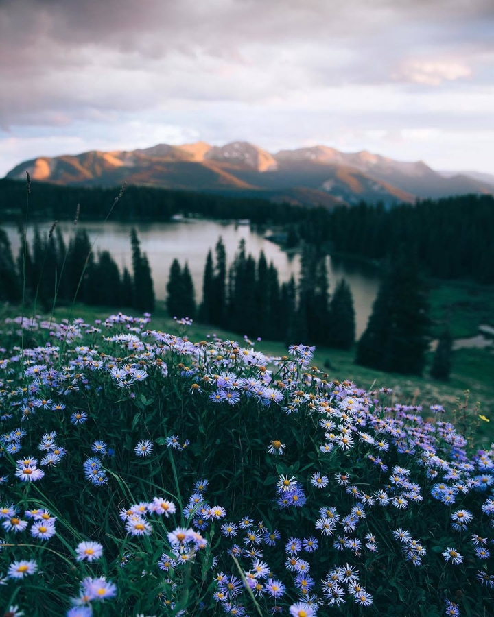 Beauty