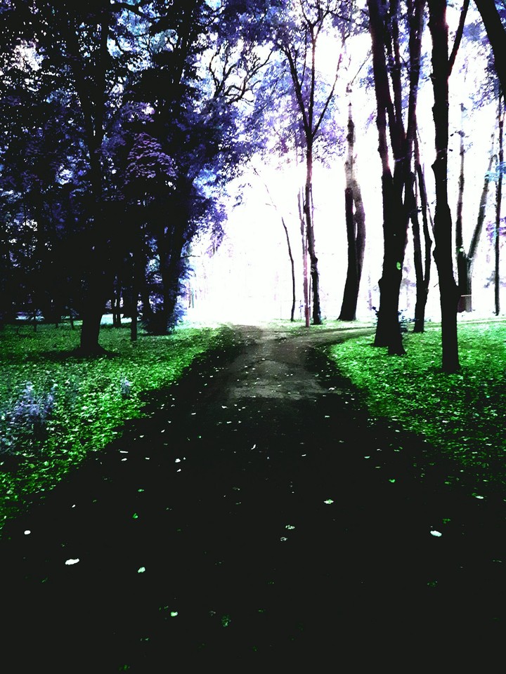 beautiful road