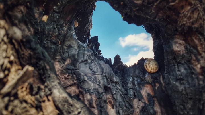 Sky through a hole