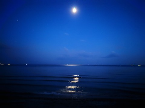 Moonlight