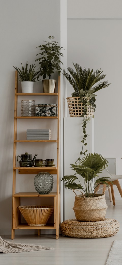 花盆, Table桌布