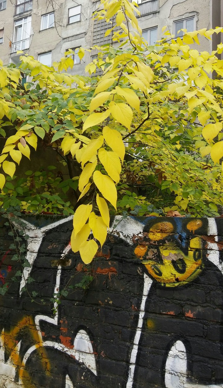 City - Park - Happy with Nature