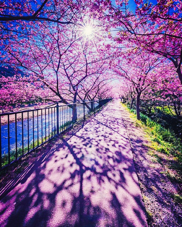 nice street