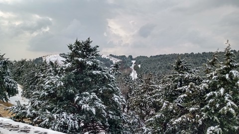 Winter