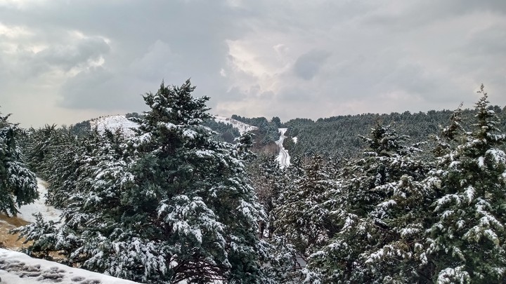 Winter
