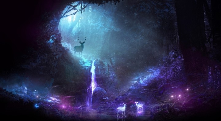 magic night