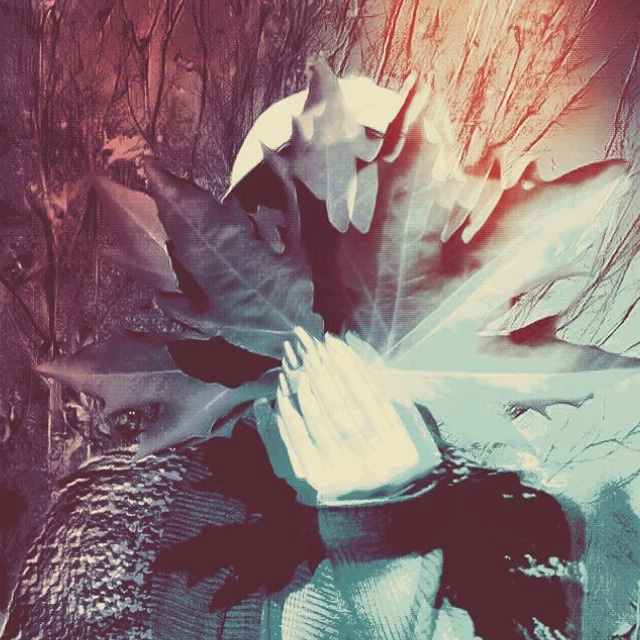 <•••>