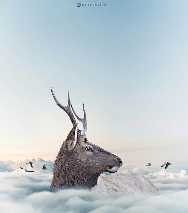 BIG DEER