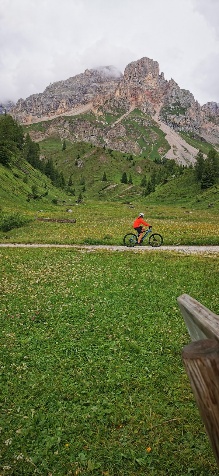 Trentino