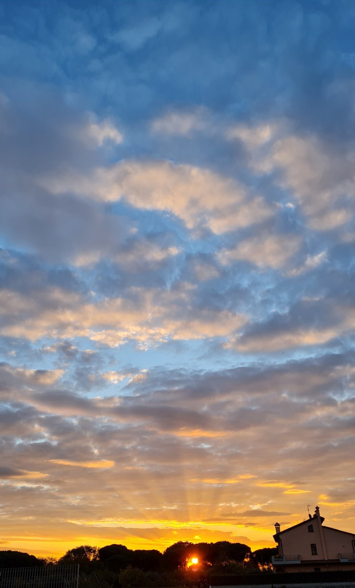 alba