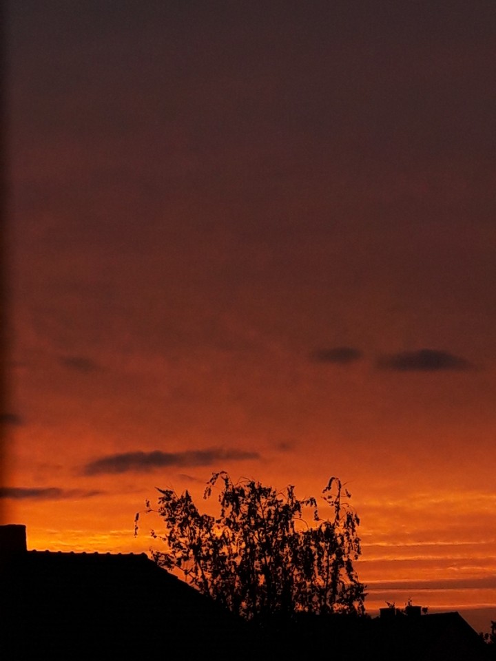 sunsets