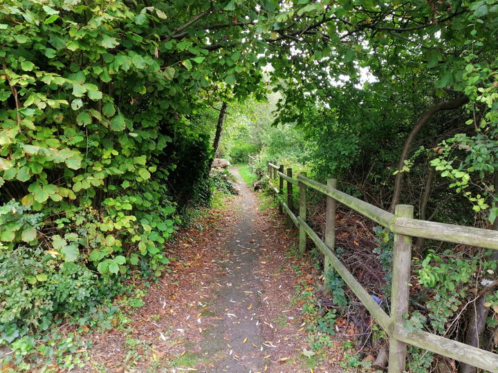 park