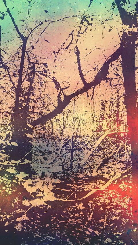 in the forest