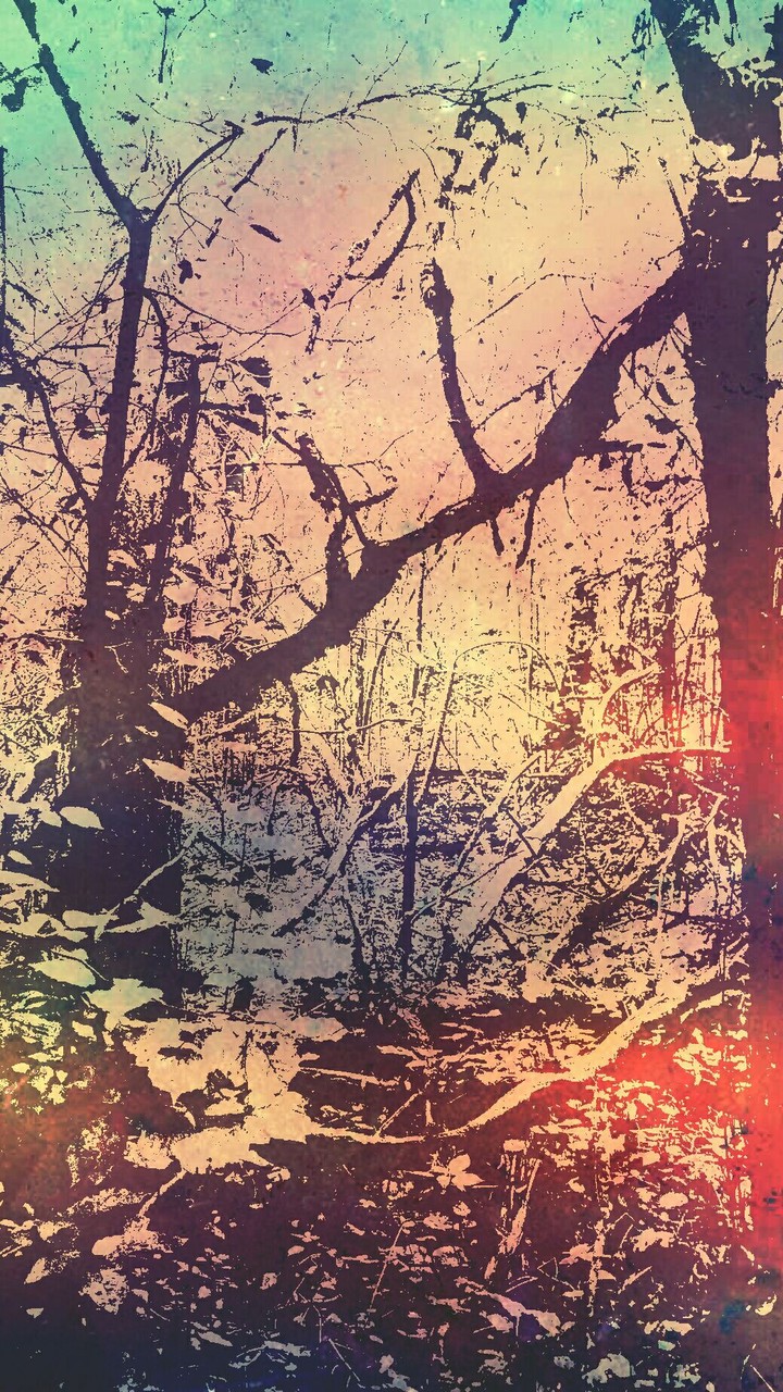 in the forest