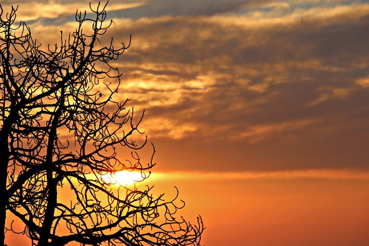 Kamlendra Goyal photography