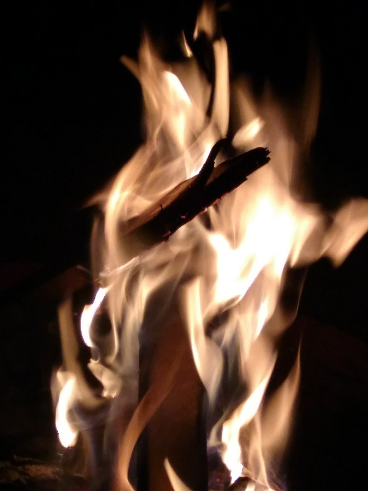 Warm, Tired, safe.