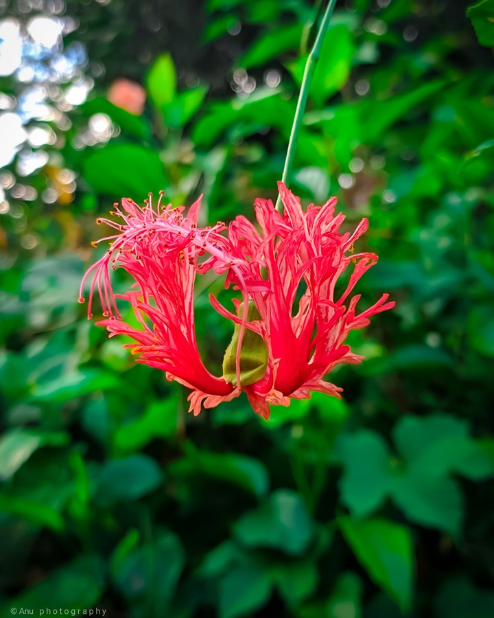for you
