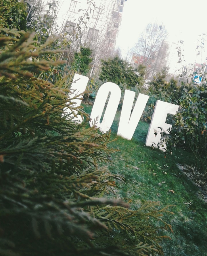 love