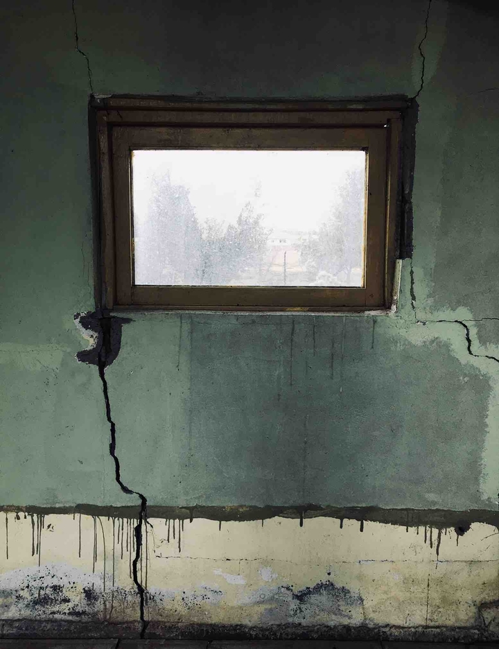 The Window