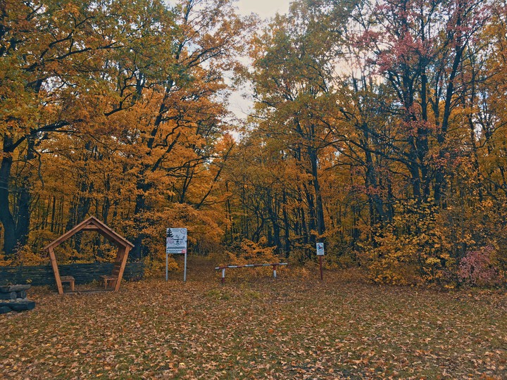 осенний день