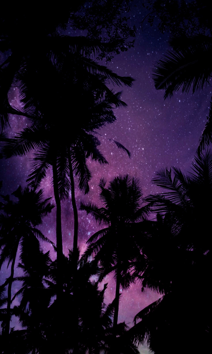 The starry night