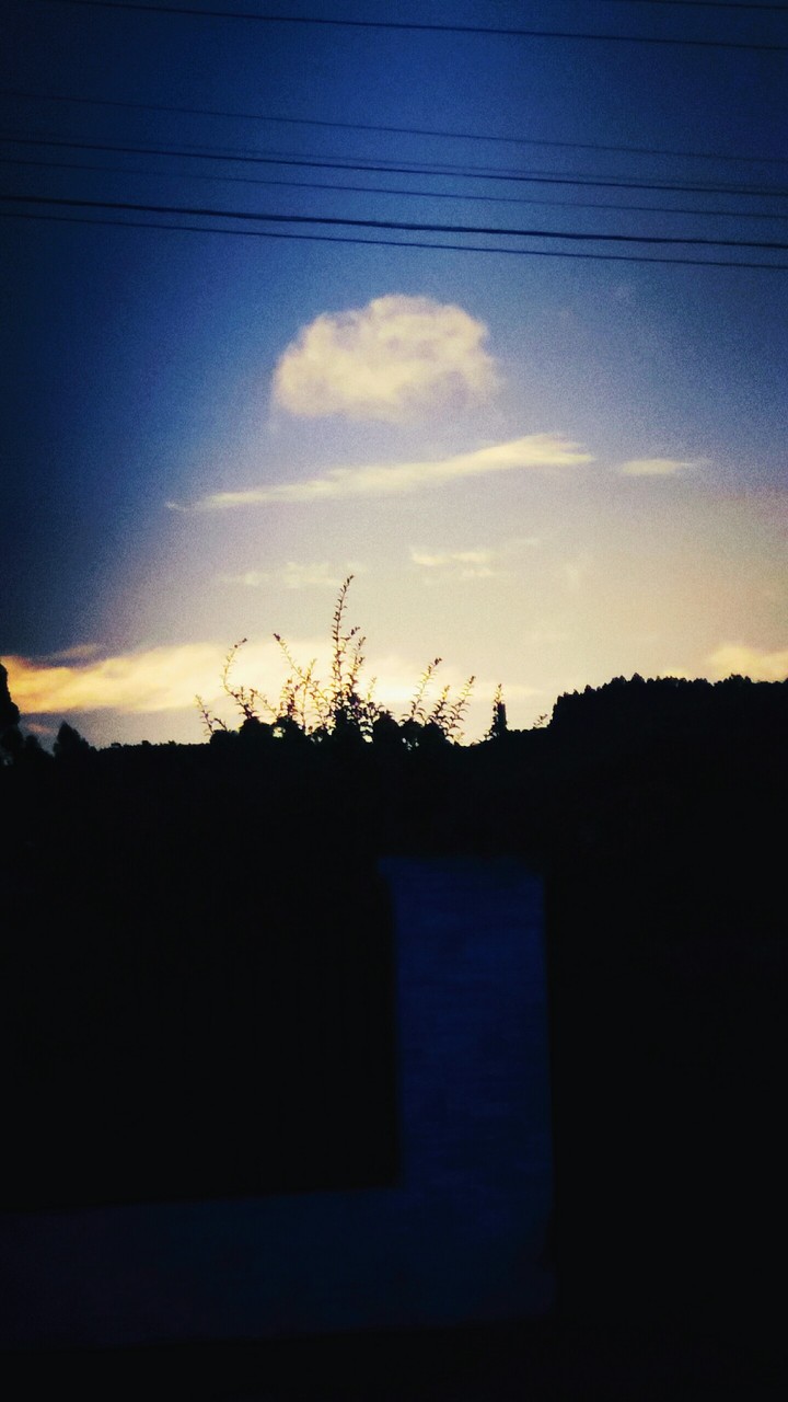 Sol